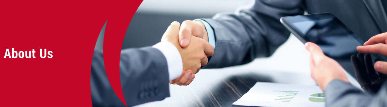 IT services provider